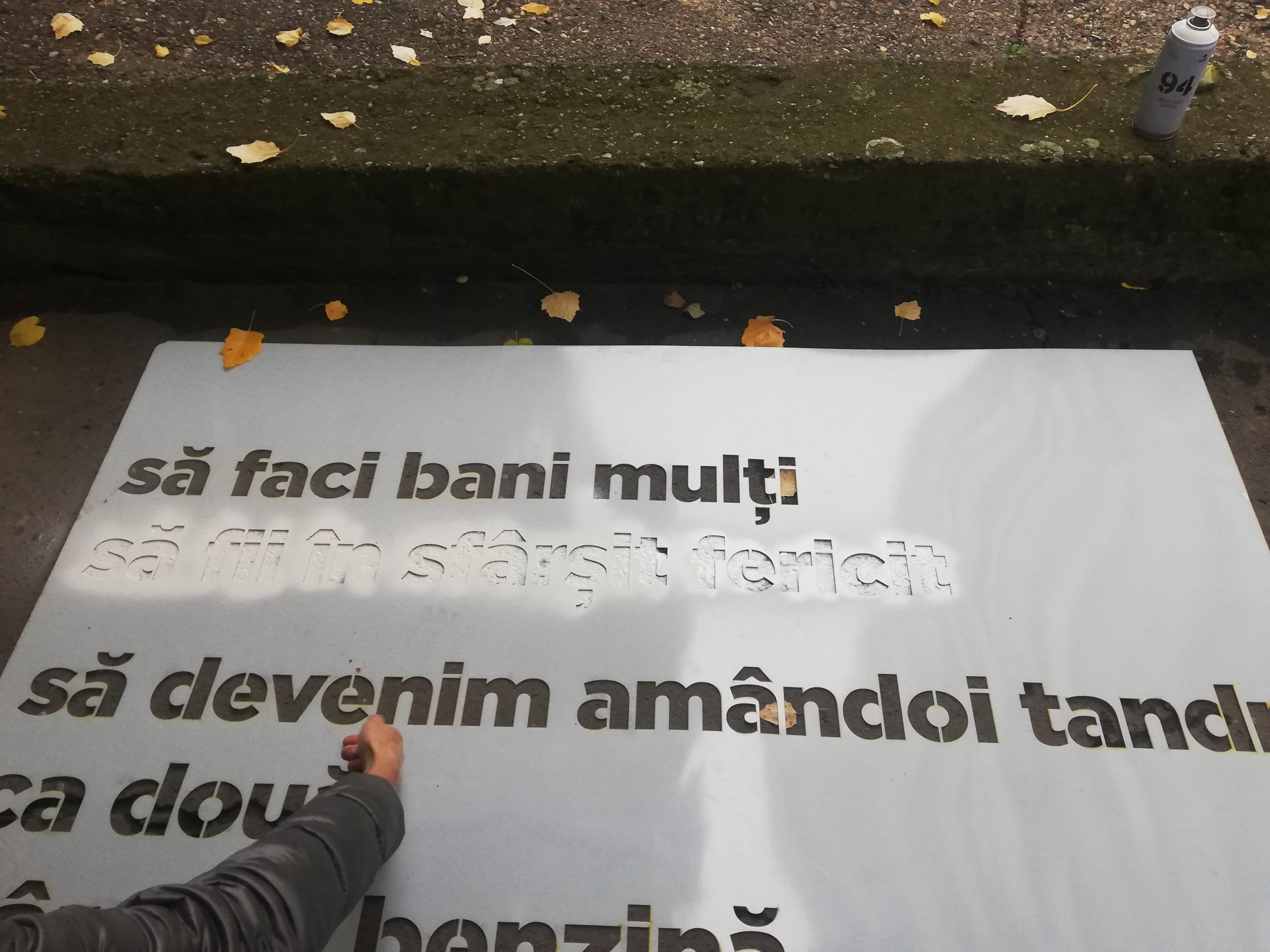 Versuri pe stradă. Cât aștepți la semafor poți să citești o poezie, în Timișoara