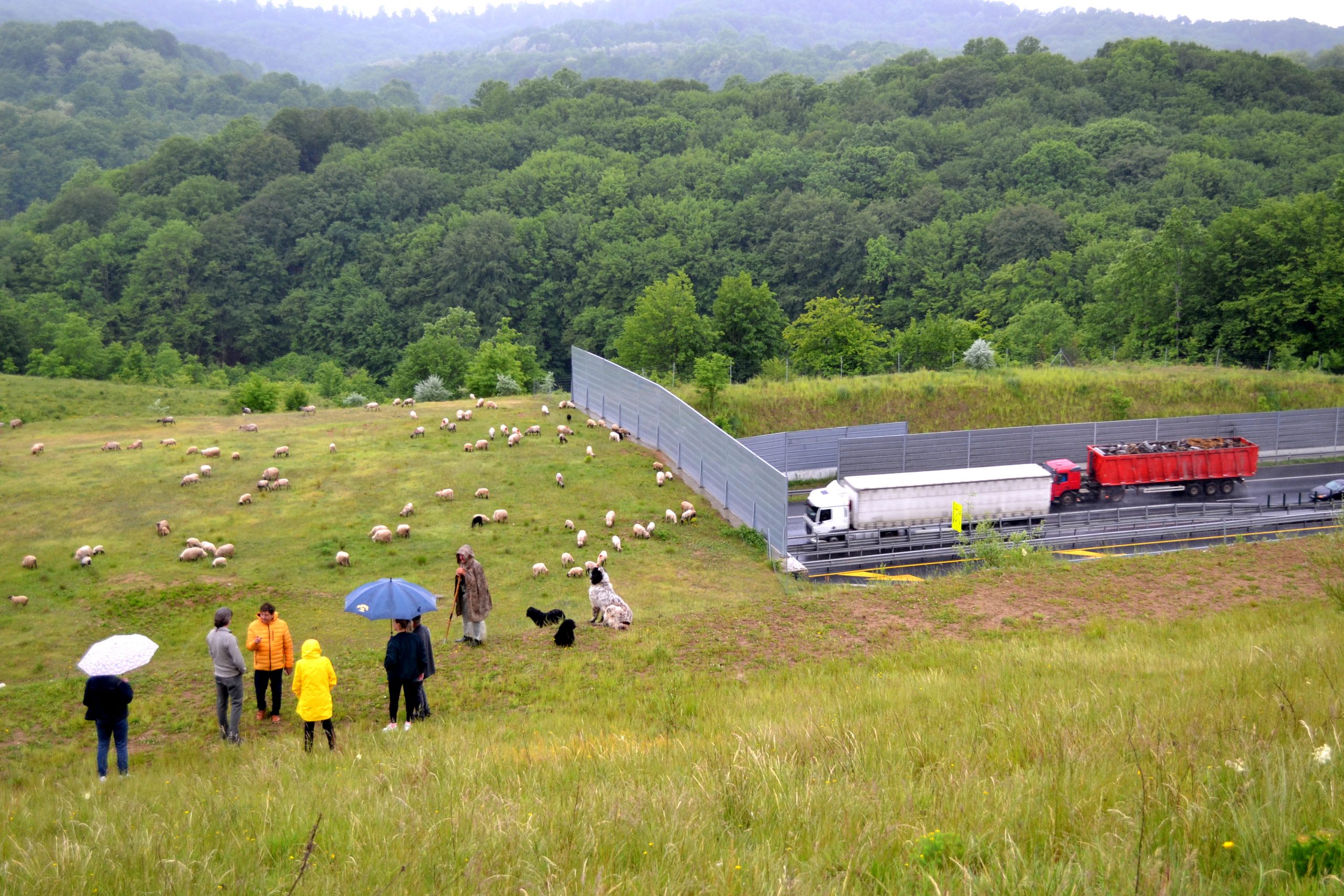 SaveGREEN, proiect-pilot în vestul țării de dezvoltare socio-economică în armonie cu natura
