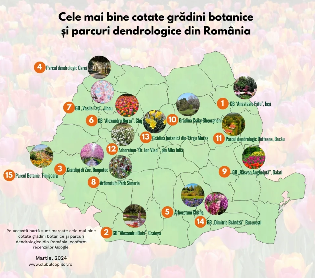 Topul celor mai frumoase grădini botanice și parcuri dendrologice din România. O parte sunt în vestul țării