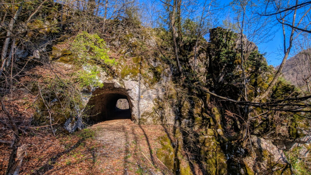 Recomandare de weekend-Visit Timiș: Halloween, Visit Timiș: Comuna Pietroasa, un traseu care combină natura sălbatică cu locuri încărcate de mituri