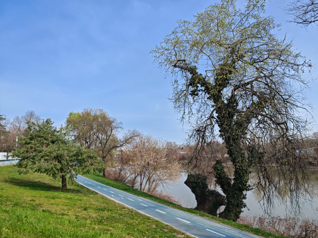 Aradul la pas. Tur ghidat gratuit pe Faleza Mureșului